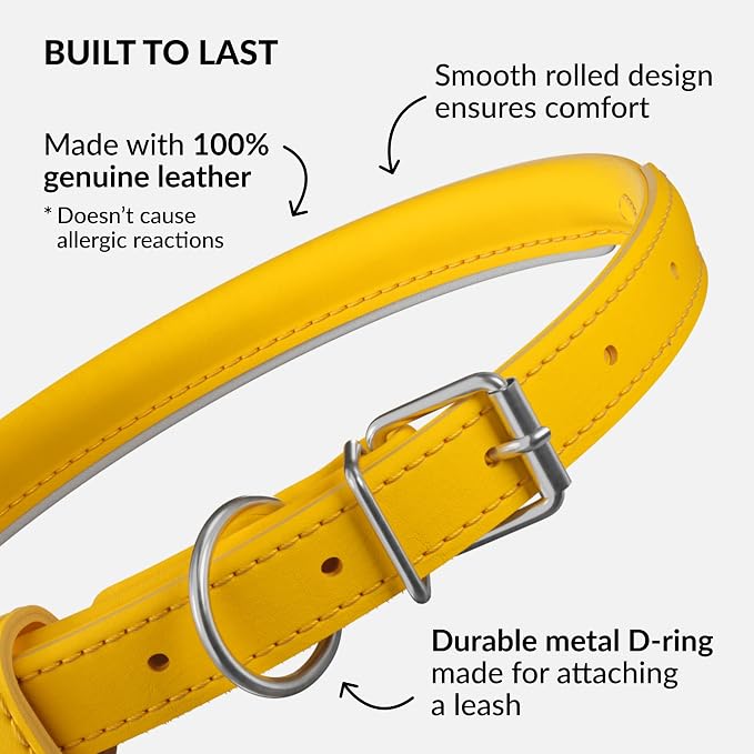 CollarDirect Reflective Rolled Leather Dog Collar, Soft Padded Round Puppy Collar, Handmade Genuine Leather Collar Dog Small Large Cat Collars 13 Colors (6-7 Inch, Yellow Reflective)
