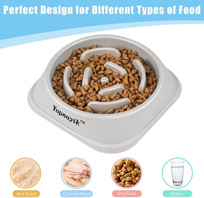 Slow Feeder Dog Bowls for Healthy Eating, Non-Slip and Anti-Choking Design, Reduces Bloating & Overeating for Medium Dogs and Cats, Easy to Clean