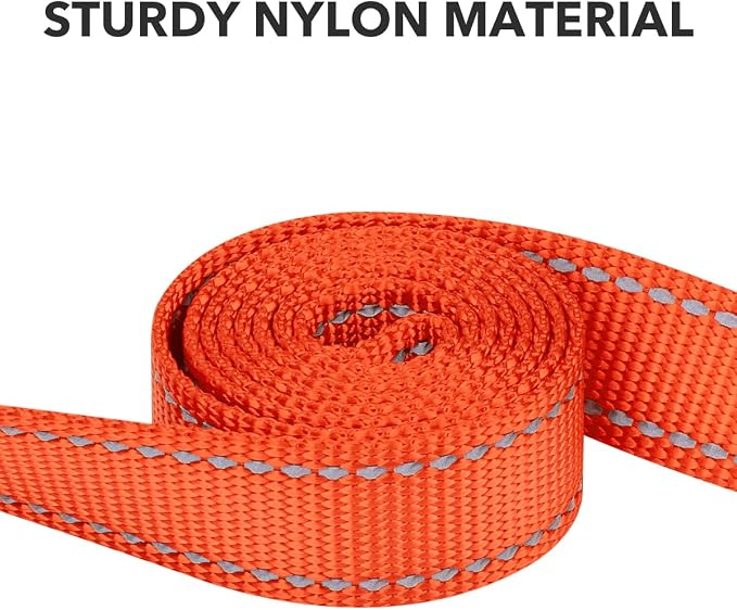 Taglory Dog Leash for Small Dogs, Double-Sided Reflective for Night Walking, Neoprene Padded Handle, 3/4 inch by 4 ft, Lightweight for Small Medium Breeds up to 30 lbs, Orange