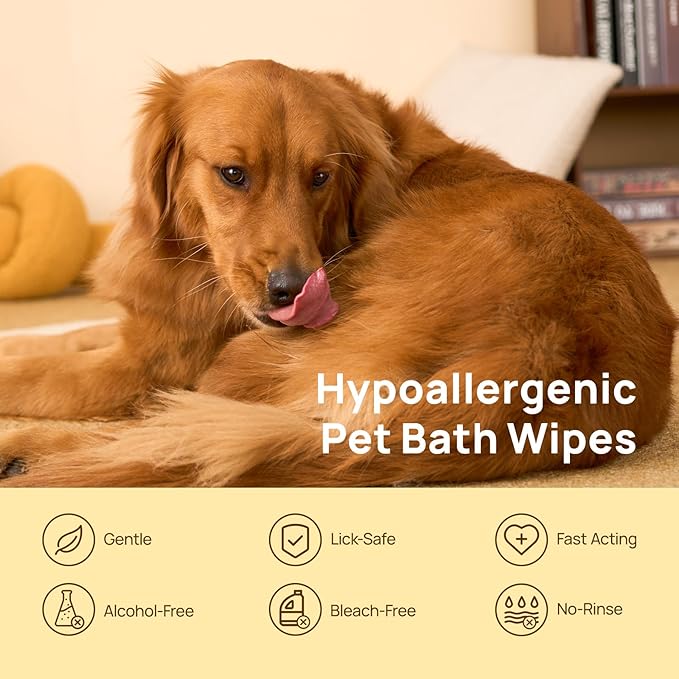 HICC PET Dog Wipes Cleaning Deodorizing Glove Wipes for Dogs, Cats & Horses, Vet Recommended Hypoallergenic Hydrating & Nourishing Pet Wipes for Eyes, Ears, Butt & Paws, No-Rinse, 6pcs Coconut Scent