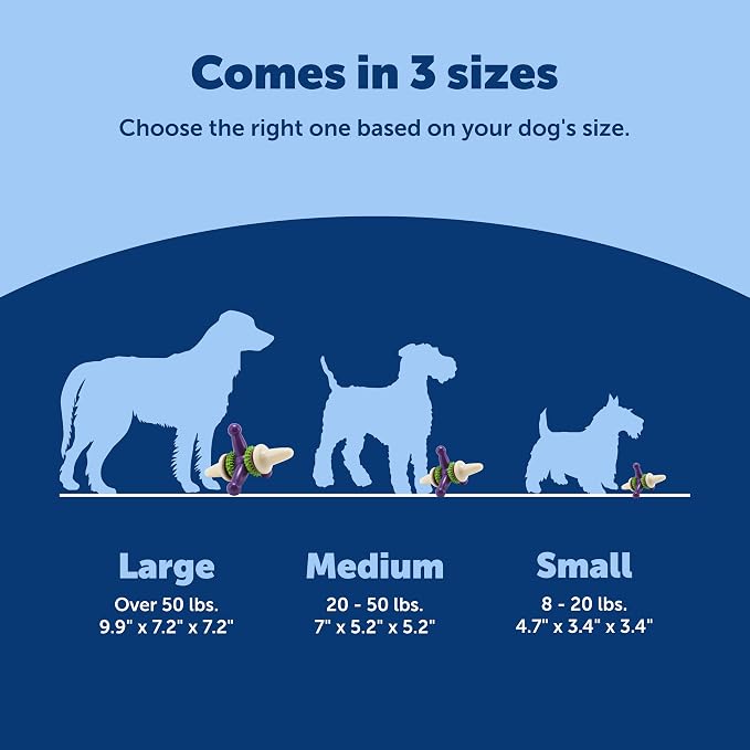 PetSafe Busy Buddy Jack - Treat Holding Dog Chew Toys - Helps Clean Teeth - Vanilla Scented Rubber for Strong Chewers - Treat Refills Included - Interactive Dog Toy Keeps Dogs Busy - Purple, Large