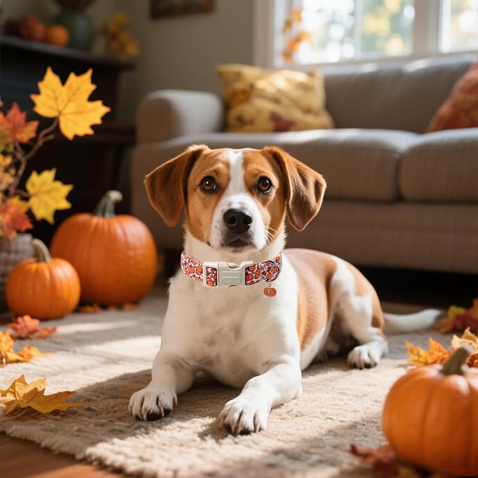 DOGWONG Pumpkin Dog Collar- Cute Pink Fall Dog Collars Adjustable Maple Fall Dog Collar for Small Medium Large Dogs L