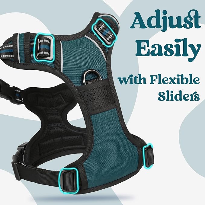 rabbitgoo Dog Harness Small Sized, No Pull Easy On & Off with 3 Buckles Pet Harness, Adjustable Soft Walking Vest with 2 Clips and Handle, Reflective for Small Dogs, Blue Coral, S