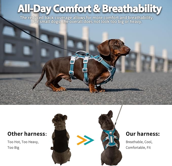 Huntboo Escape Proof Dog Harness, Escape Artist Harness, Fully Reflective Harness with Padded Handle, Breathable, Durable, Adjustable Vest for Small Dogs Walking, Training, and Running Gear (Teal,S)