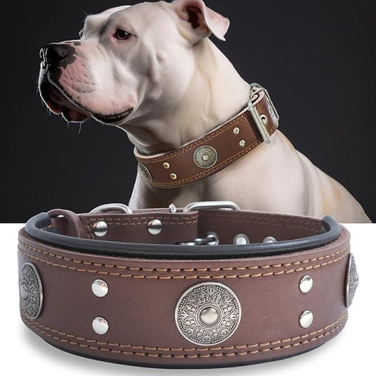 Leather Dog Collar for Large Dogs, 2 in Wide Heavy Duty, Handmade, BN-M | Genuine Leather Stainless Steel Pin Buckle, Microfiber Leather Padded, Alloy Studded， Soft, Luxury and Eye-catching