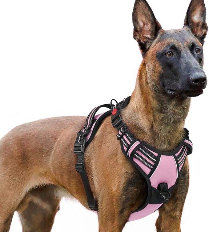 rabbitgoo Dog Harness for Large, No Pull Easy On & Off with 3 Buckles Pet Harness, Adjustable Soft Walking Vest with 2 Clips and Handle, Reflective for Extra Large Dogs, Pink, XL