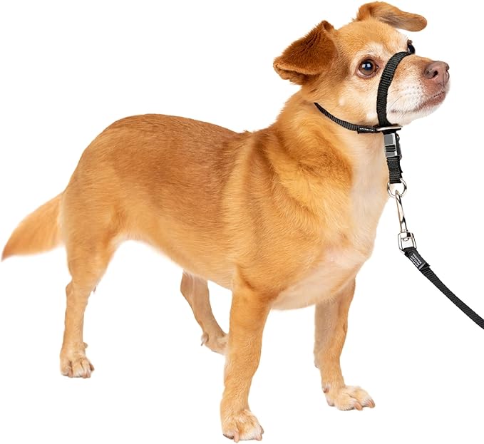 PetSafe Gentle Leader No-Pull Dog Headcollar - The Ultimate Solution to Pulling - Redirects Your Dog's Pulling for Easier Walks - Helps You Regain Control - Petite, Black
