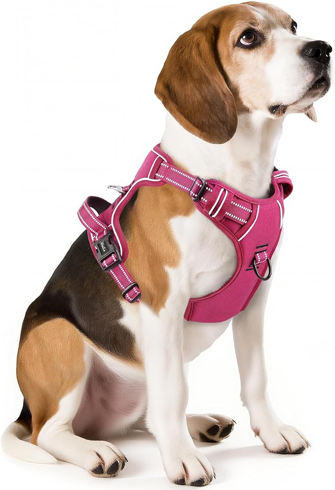 HEELE Dog Harness for Medium Dogs No Pull Dog Vest Harness with Soft Padded Handle Reflective for Outdoor Training, Rose(Matching Trim), M