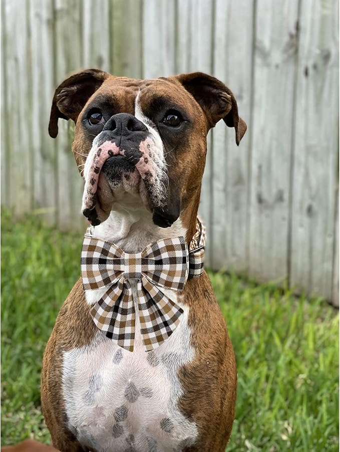 Unique style paws Christmas Dog Collar with Bow Tie Brown Plaid Puppy Collar for Small Medium Large Dogs as Autumn Winter Pet Gifts-XL