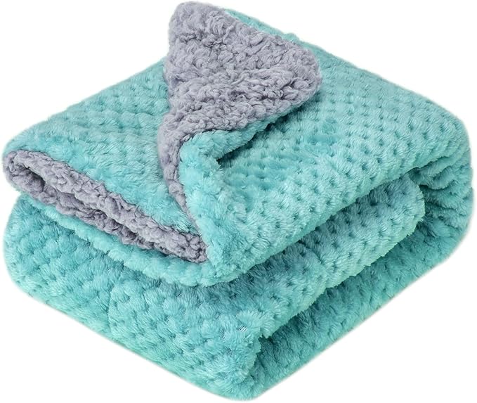 Fuzzy Blanket or Fluffy Blanket for Baby Girl or boy, Soft Warm Cozy Coral Fleece Toddler, Infant or Newborn Receiving Blanket for Crib, Stroller, Travel, Outdoor (32" x 40", DG-Blue Bell)
