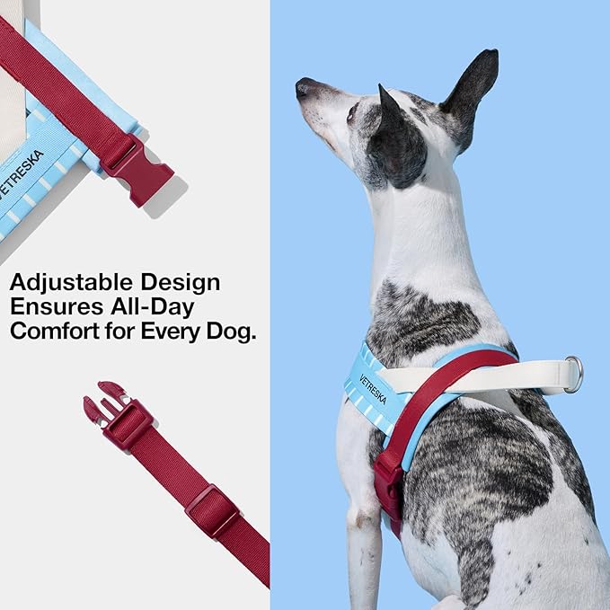 VETRESKA Dog Harness Small Sized Dog, Adjustable No Choke Puppy Harness No Pull, Easy Control Pet Harness Vest for Dogs, Cat, Kitten, Dog Harness with Anti-Tangle Dog Leash Set, Misty Melo XS