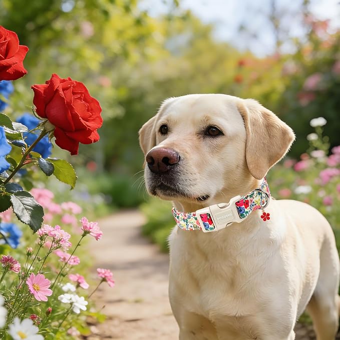 DOGWONG Spring Floral Dog Collar, Cute Girl Dog Collars - Wildflowers Puppy Collar, Adjustable Breathable Female Dog Collars for Small Medium Large Dogs, Neck 11-16 inches