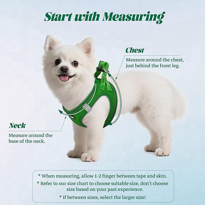 YIMEIS Dog Harness and Leash Set, No Pull Soft Mesh Pet Harness, Reflective Adjustable Puppy Vest for Small Medium Large Dogs, Cats (Green, Medium (Pack of 1)