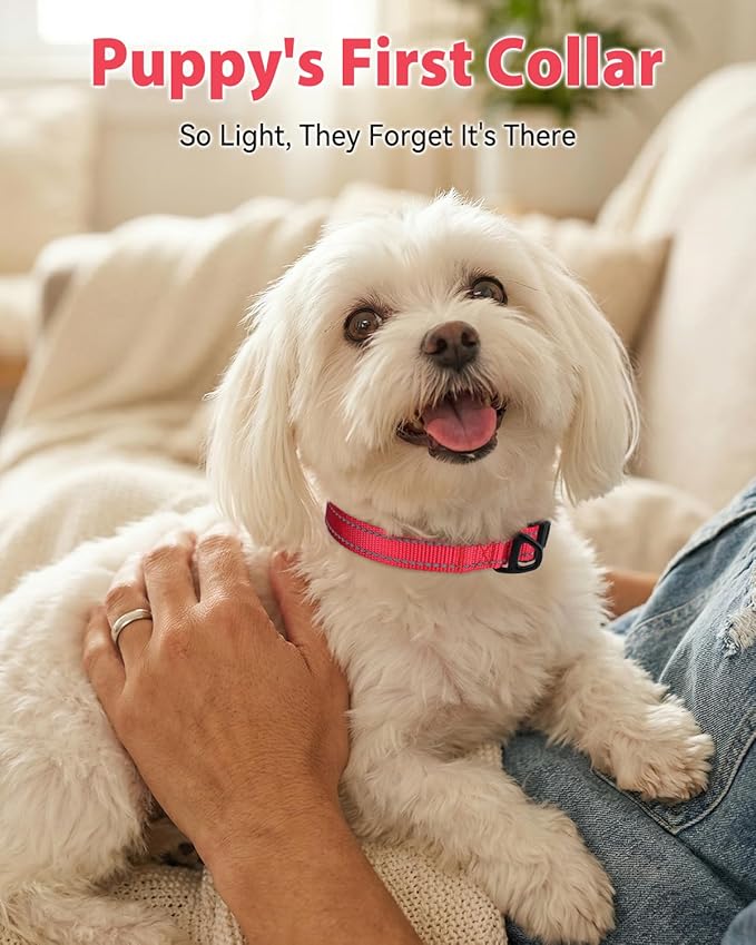 Joytale Small Dog Collar, Durable Double-Sided Reflective Nylon Collar for Night Safety, Adjustable Quick-Release for Active Breeds, Red, S (3/4" Width)