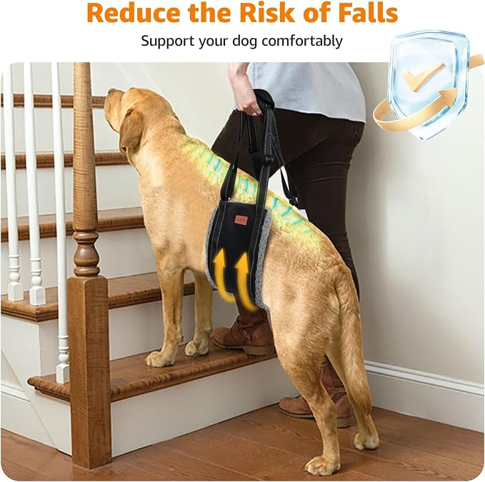 LOOBANI Dog Sling for Large Dogs Hind Leg Support, Portable Dog Lift Harness for Back Legs, Comfortable Leg Support Assistance for Elderly Dogs with Hip, ACL Brace, Senior, Injured