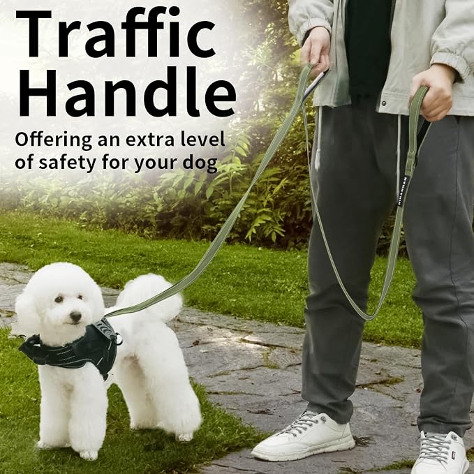 Reflective Dog Leash with Double Handle, Dog Leash 6 FT Long, Supports Medium, and Large Dogs, Heavy Duty for Walking, Running, and Training, Green