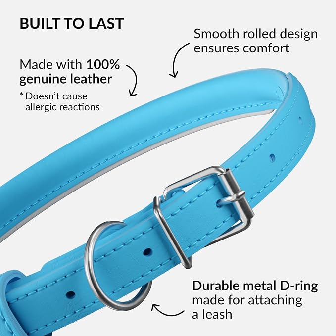 CollarDirect Reflective Rolled Leather Dog Collar, Soft Padded Round Puppy Collar, Handmade Genuine Leather Collar Dog Small Large Cat Collars 13 Colors (15-19 Inch, Light Blue Reflective)
