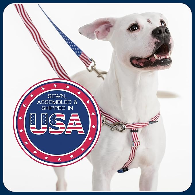 2 Hounds Design Freedom No Pull Dog Harness, Adjustable Harness, Easy Walking & Comfortable Control, Fits Small, Medium & Large Dogs, Solid Colors, Made in USA, 5/8" XS, Navy