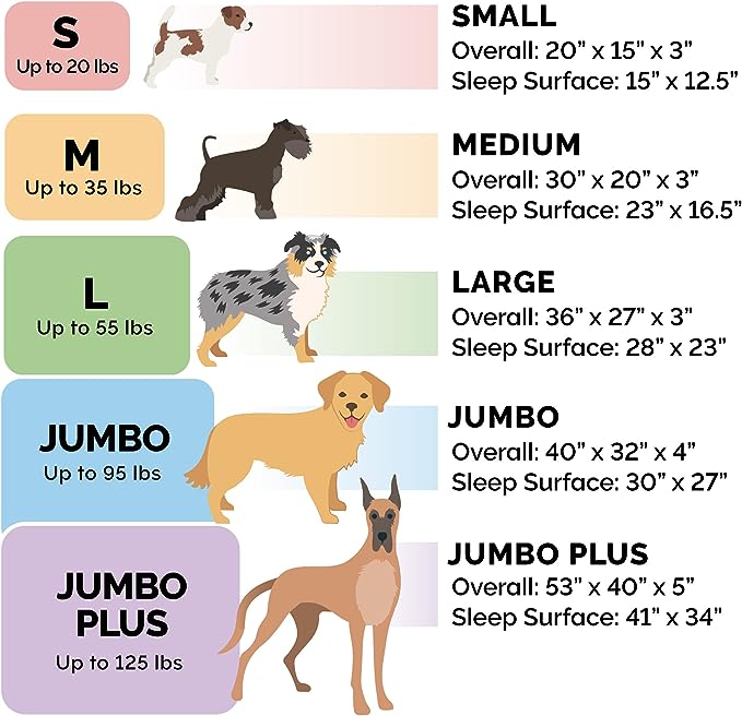 Furhaven Memory Foam Dog Bed for Large/Medium Dogs w/ Removable Bolsters & Washable Cover, For Dogs Up to 55 lbs - Plush & Suede Sofa - Gray, Large