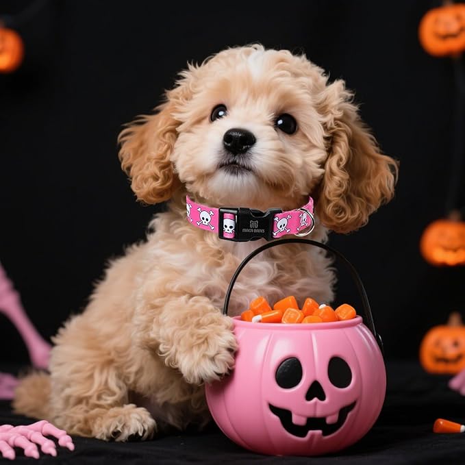 Maca Bates Halloween Pink Skull Dog Basic Collar Spooky Puppy Collars for Small Girl Boy Dogs,Cute Durable Soft Adjustable Gift for All Saints'Day Female Male Dogs Pet