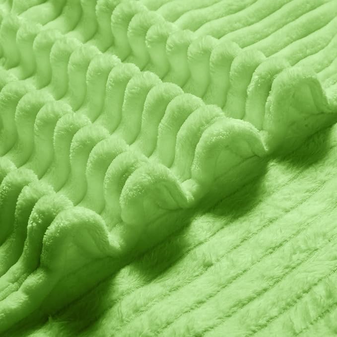 Bnuitland Fleece Throw Blanket, 300GSM Soft Warm Cozy Fluffy Throw for Babys & Pets, Stripe Pattern, All Season Sofa Bed Blanket for Home Decor, Light Green 60"x80"