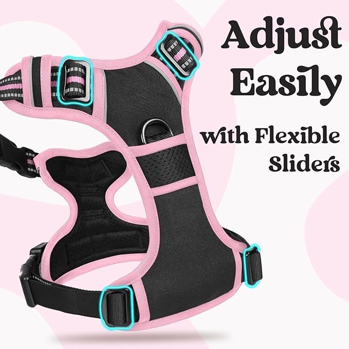 rabbitgoo Dog Harness Small Sized, No Pull Easy On & Off with 3 Buckles Pet Harness, Adjustable Soft Walking Vest with 2 Clips and Handle, Reflective for Small Dogs, Black & Pink, S
