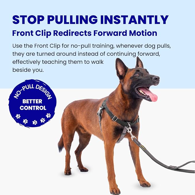 Freedom No Pull Dog Harness for Large Dogs, Easy Walker, Anti Pull with Two Stainless D-Rings, Comfortable, Sewn-in Instructions Tags for Easy Use (Black, XL)