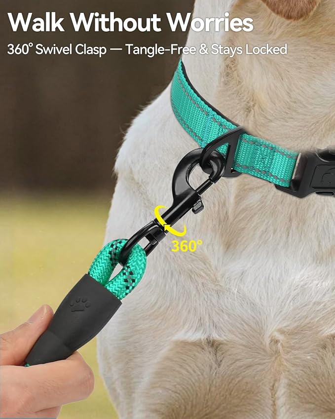 Joytale Dog Leash for Large Dogs, Heavy Duty Nylon Leashes with Comfortable Padded Handle and Highly Reflective Threads, Ideal for Walking and Training, Teal, 6'×1/2''