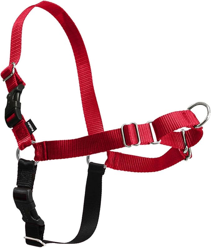 PetSafe Easy Walk No-Pull Dog Harness - Ultimate Harness to Help Stop Pulling - Pull-Free Walks - Take Control & Teach Better Leash Manners - Patented Martingale Loop Design - Red, Medium