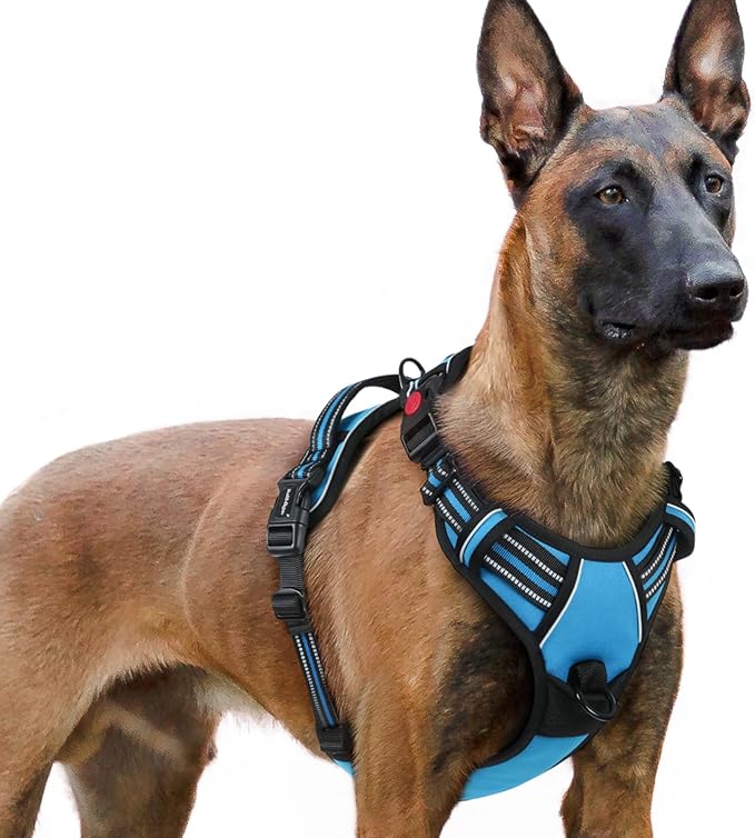 rabbitgoo Dog Harness for Large, No Pull Easy On & Off with 3 Buckles Pet Harness, Adjustable Soft Walking Vest with 2 Clips and Handle, Reflective for Extra Large Dogs, Sky Blue, XL