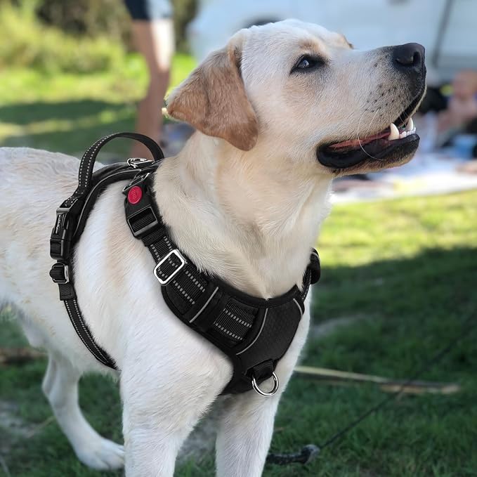 rabbitgoo Dog Harness for Large Dogs, 3 Buckles Easy On & Off No Pull Pet Vest, Soft Padded Walking Pet Harness with Control Handle, Adjustable and Reflective, Black, L