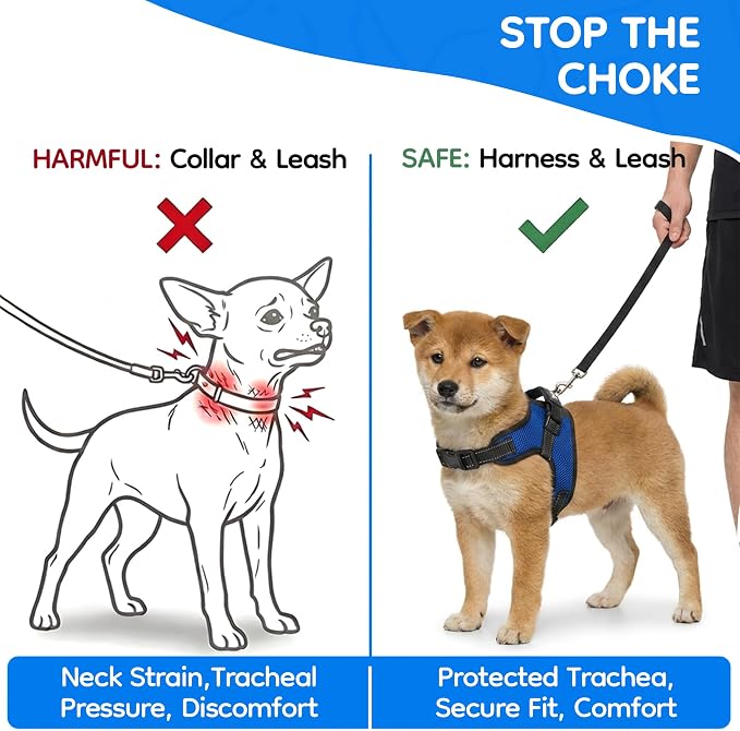 No Pull Reflective Adjustable Dog Harness With Handle- Comfortable Soft All Weather Mesh, Easy On Puppy Harness For Small Medium and Large Dogs (Blue) XX-Small