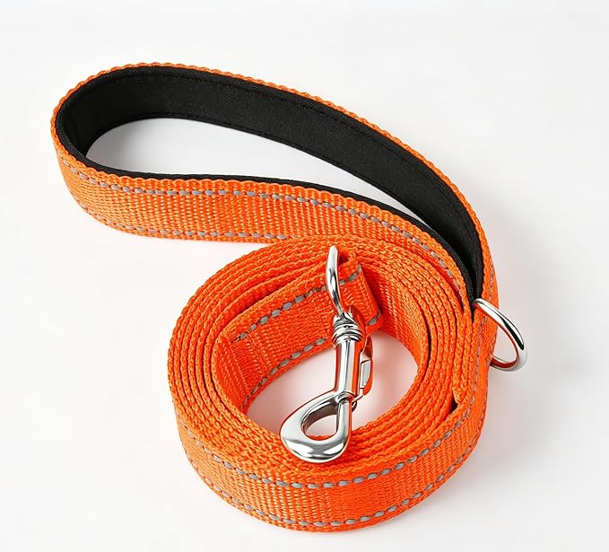 6 FT Reflective Dog Leash, Nylon Heavy Duty Leashes with Soft Padded Handle for Small Medium Large Dogs Walking, 1 Inch Wide Orange