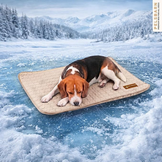 Pelsbarn Dog Cooling Mat- Ice Silk Summer Comfort, Self Cooling, Non-Slip Dog Pad, Durable & Washable, Mat for Medium Dogs 19 x 25, Support Shelter Dogs with Every Purchase (Beige)