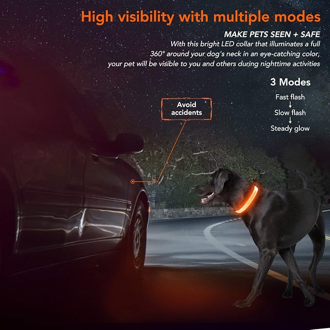 Light Up Dog Collar, Rechargeable USB Collar, Waterproof, Luminous LED Collar, Adjustable, Super Bright, Night Walking for Small Medium Large Dogs, Orange, L