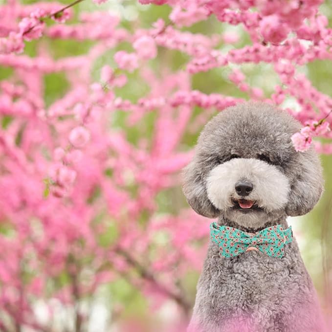 Elegant little tail Dog Collar, Spring Pet Collar with Bow Dog Durable Pink Flower Print Dog Collars Girl Pet Gift Adjustable Dog Collar for X-Large Dogs