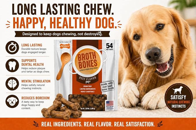 Nylabone Beef Broth Bones Dog Treats (Net 54Count), 2.38 Lb
