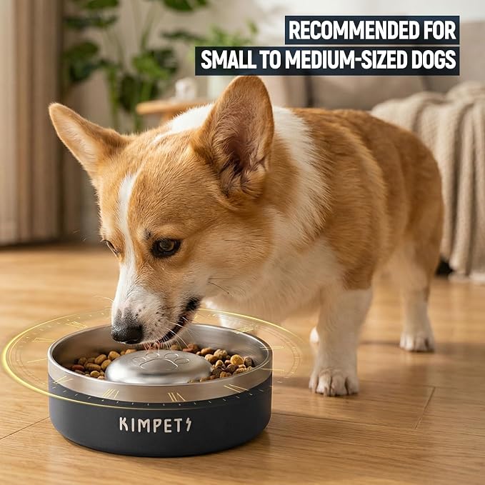 Dog Slow Feeder Bowl Slow Eating Dog Bowl Slow Feeder Dog Bowls 304 Stainless Steel Double Wall Durable Non-Slip Rubber Base - Black