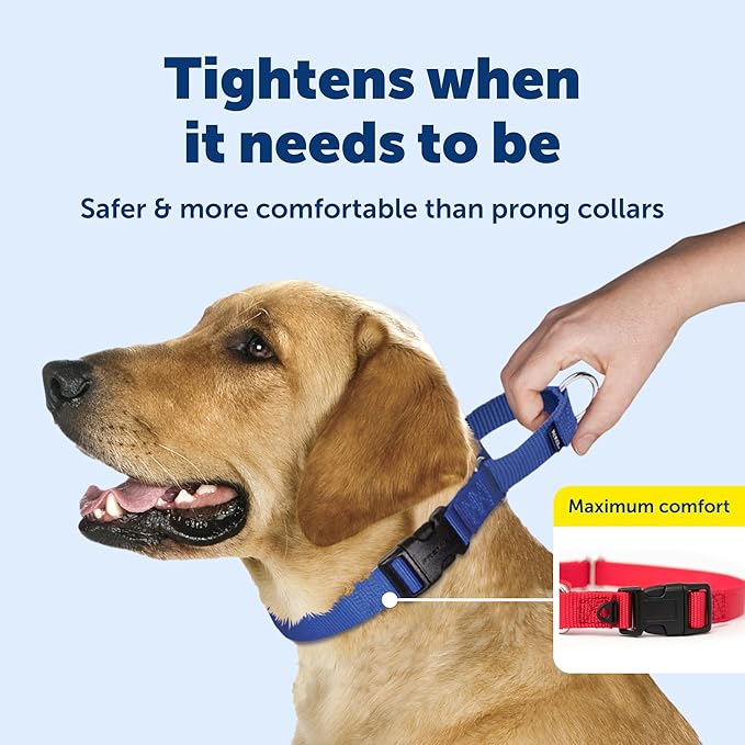 PetSafe Martingale Dog Collar with Quick-Snap Buckle Large, 1 Inch, Black