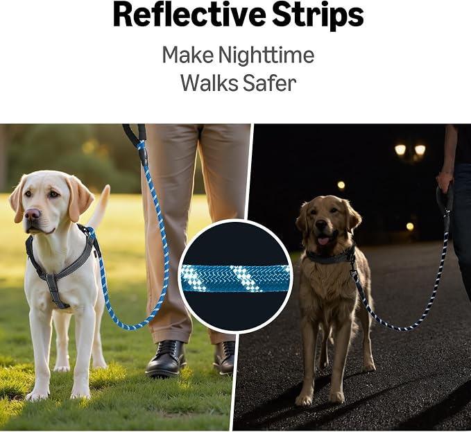 Amazon Basics Round Dog Leash, Heavy Duty, Durable Rope for Small, Medium, and Large Dogs, Lightweight Design for Walking, Training, and Outdoor Activities, Blue, 6 Ft
