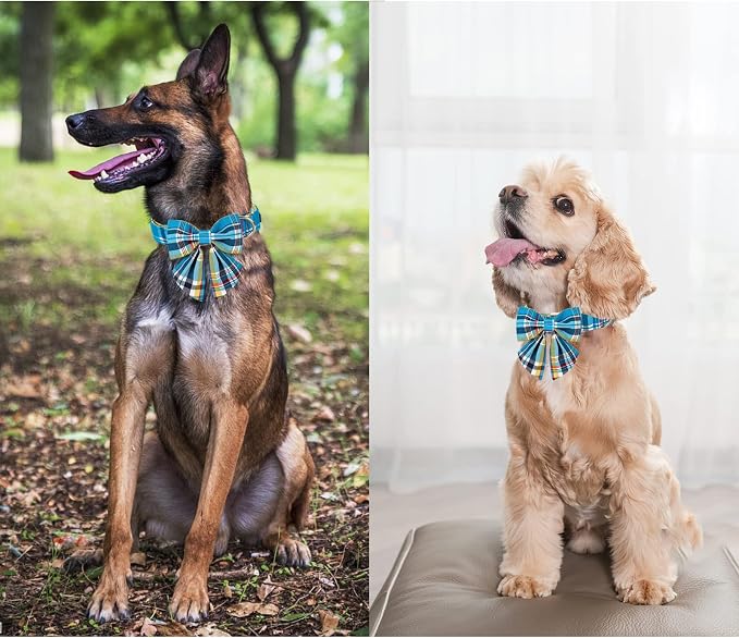 Unique style paws Blue Plaid Dog Collar with Bow Cute Puppy Collar for Small Medium Large Dogs as Autumn Winter Pet Gifts-S