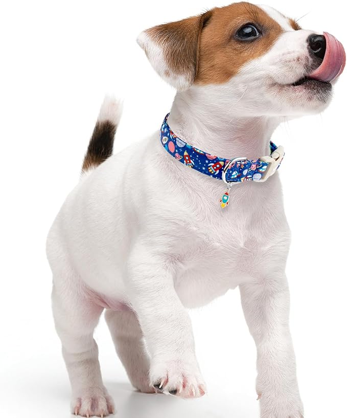 Faygarsle Space Theme Dog Collar, Navy Blue with Rockets and Planets Pattern for Summer Small Medium Large Dogs M