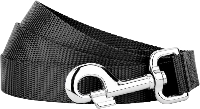 Country Brook Petz - Everyday Nylon Dog Leash - Strong, Durable, Solid Color Leash with Easy to Use Snap - 25+ Colors (1 Inch Wide, 6 Foot, Black)