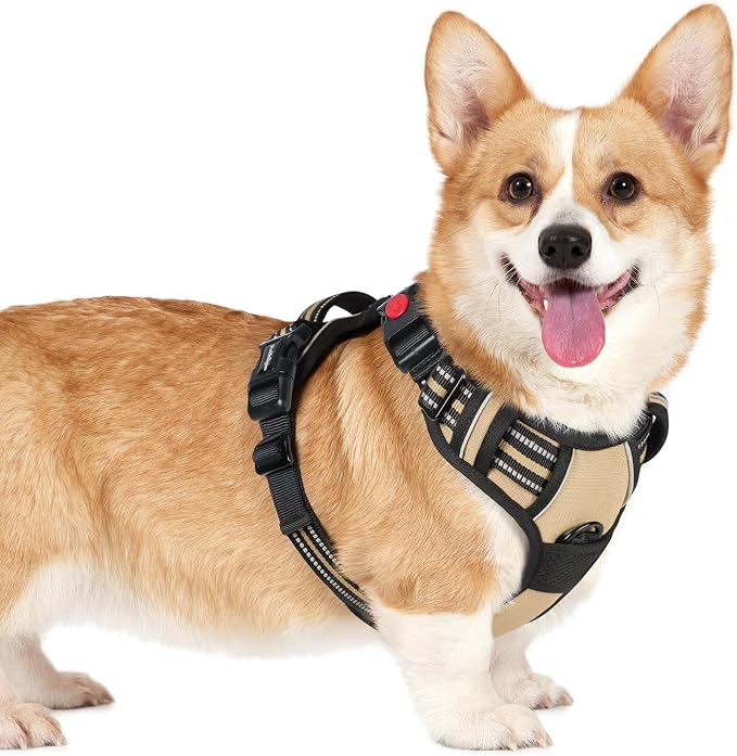 rabbitgoo Dog Harness Small Sized, No Pull Easy On & Off with 3 Buckles Pet Harness, Adjustable Soft Walking Vest with 2 Clips and Handle, Reflective for Small Dogs, Beige, S