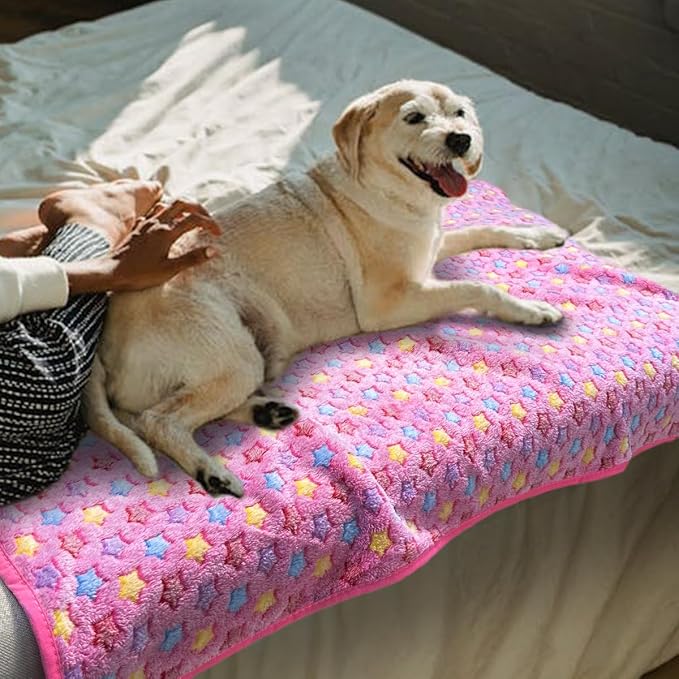 Dog Blankets for Small Medium Large Dogs, 3 Pack Dog Blanket Washable 23" x 16", Gifts Puppy Essentials, Fuzzy Soft Pet Mat Throw Cover for Kennel Crate Bed,Cat Blanket, Blankets for Dogs, Pet Blanket