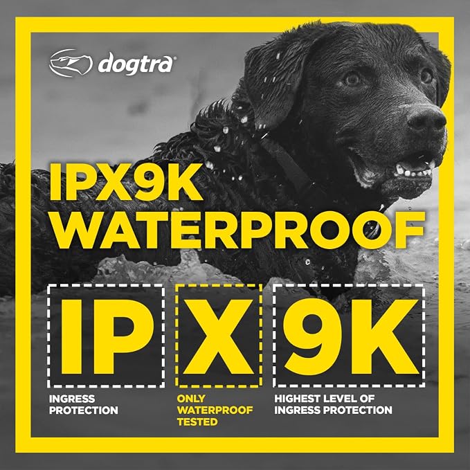 Dogtra 1900S Black - Remote Training Collar - 1 Mile Range, Waterproof, Rechargeable, Static, Vibration - Includes PetsTEK Dog Training Clicker