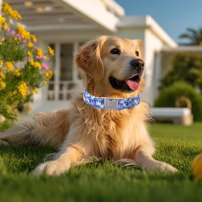 Floral Dog Collar, Cute Blue Wildflowers Dog Collars - Soft Adjustable Spring Summer Everyday Collars for Small Medium Large Dogs, Cottagecore Bloom Dogs Collar M