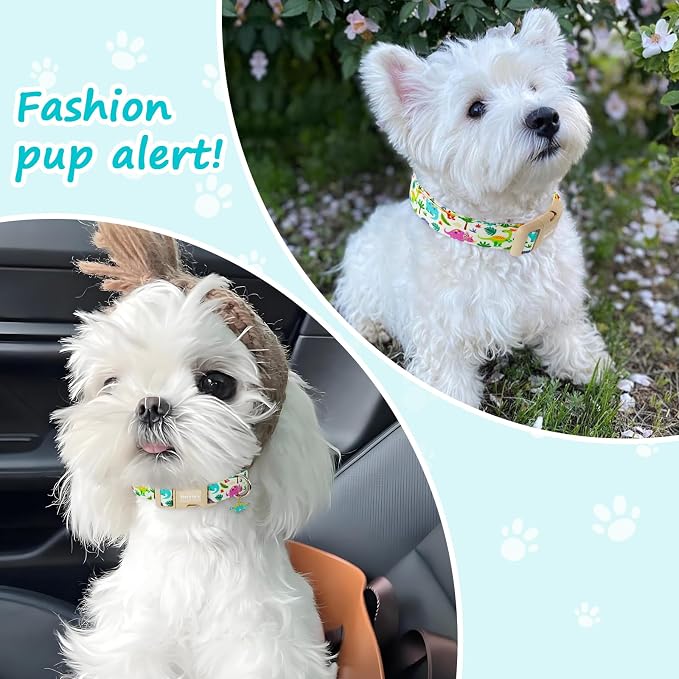 Dog Collars for Small Dogs, Adiustable Cotton Puppy Collar with Dinosaur Pattern, Cute Boy Dog Collars Small Dog Collar for Male Dogs, Ideal, Pet Accessory ﻿ ﻿ ﻿ ﻿ ﻿ ﻿ ﻿ ﻿