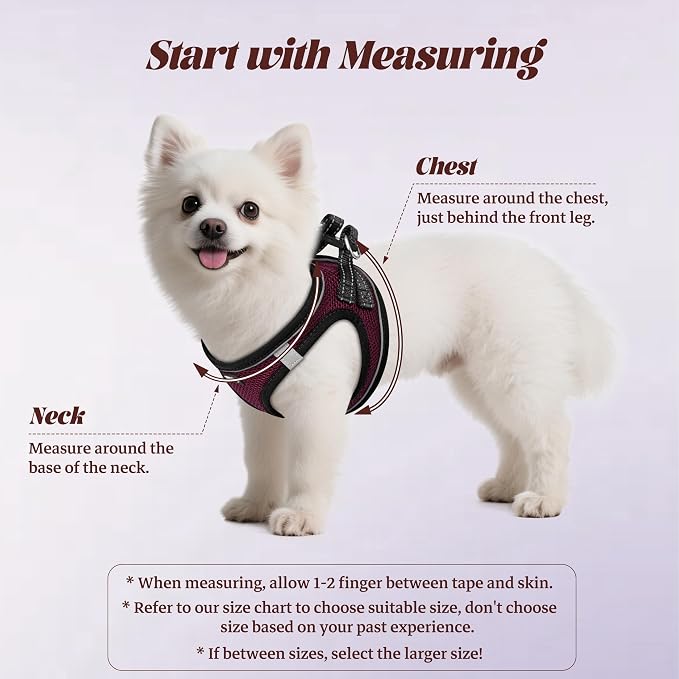 YIMEIS Dog Harness and Leash Set, No Pull Soft Mesh Pet Harness, Reflective Adjustable Puppy Vest for Small Medium Large Dogs, Cats (Grape Purple, X-Small (Pack of 1)