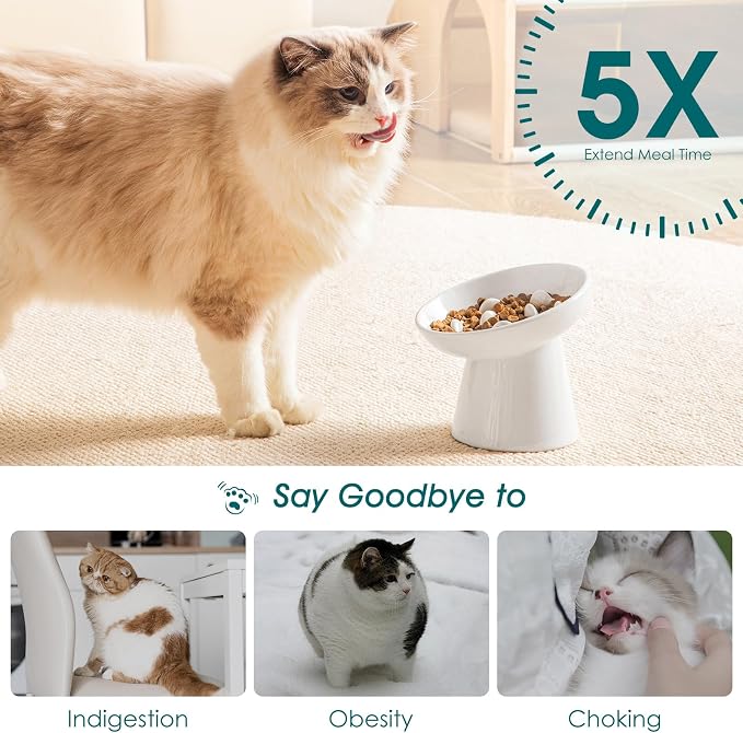vancasso Ceramic Slow Feeder Cat Bowl, 6.25 Inch Elevated Cat Slow Feeder Bowl, Anti Vomiting for Dry and Wet Food, White